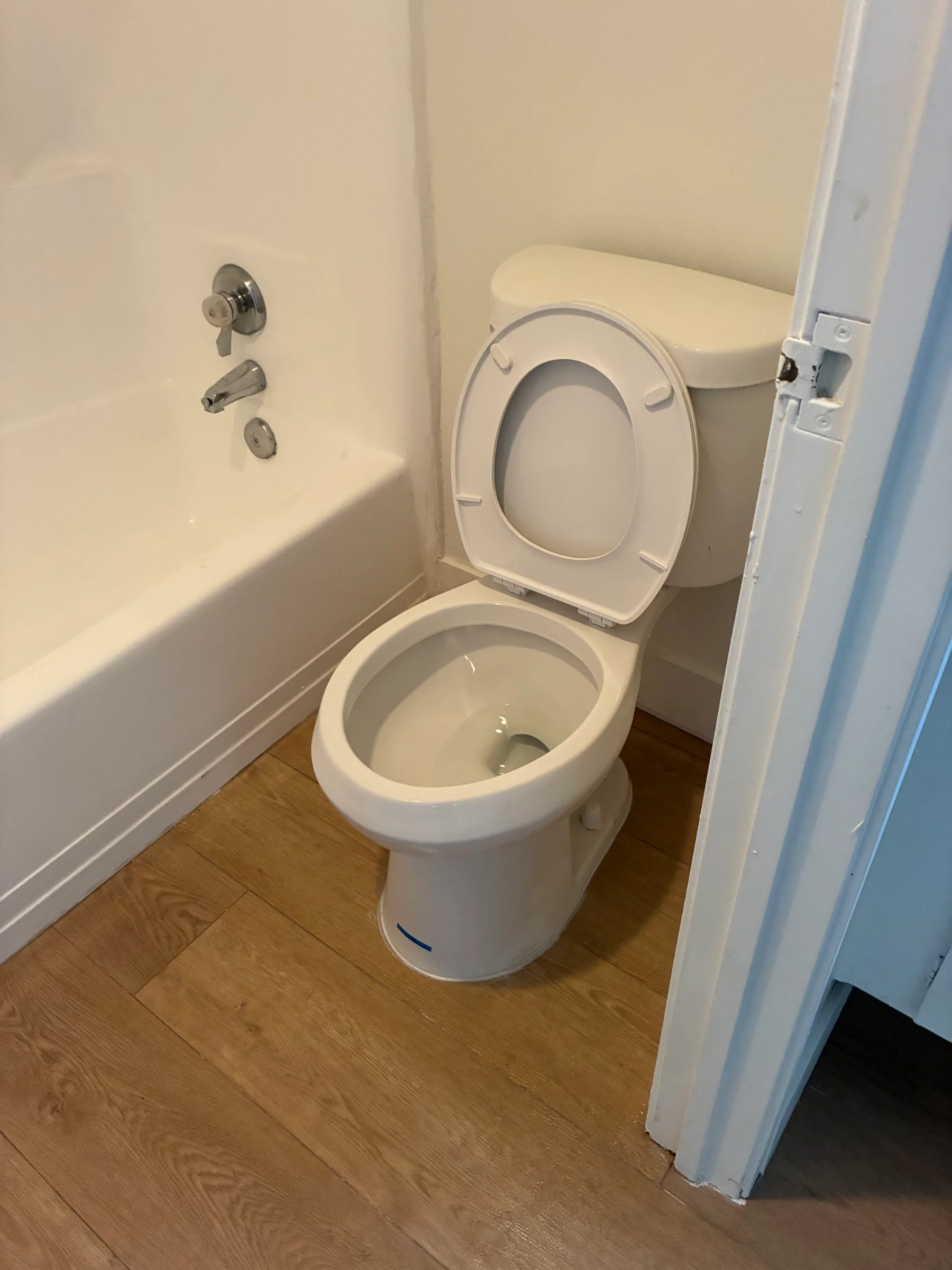 Clean toilet and bathtub, ready for use