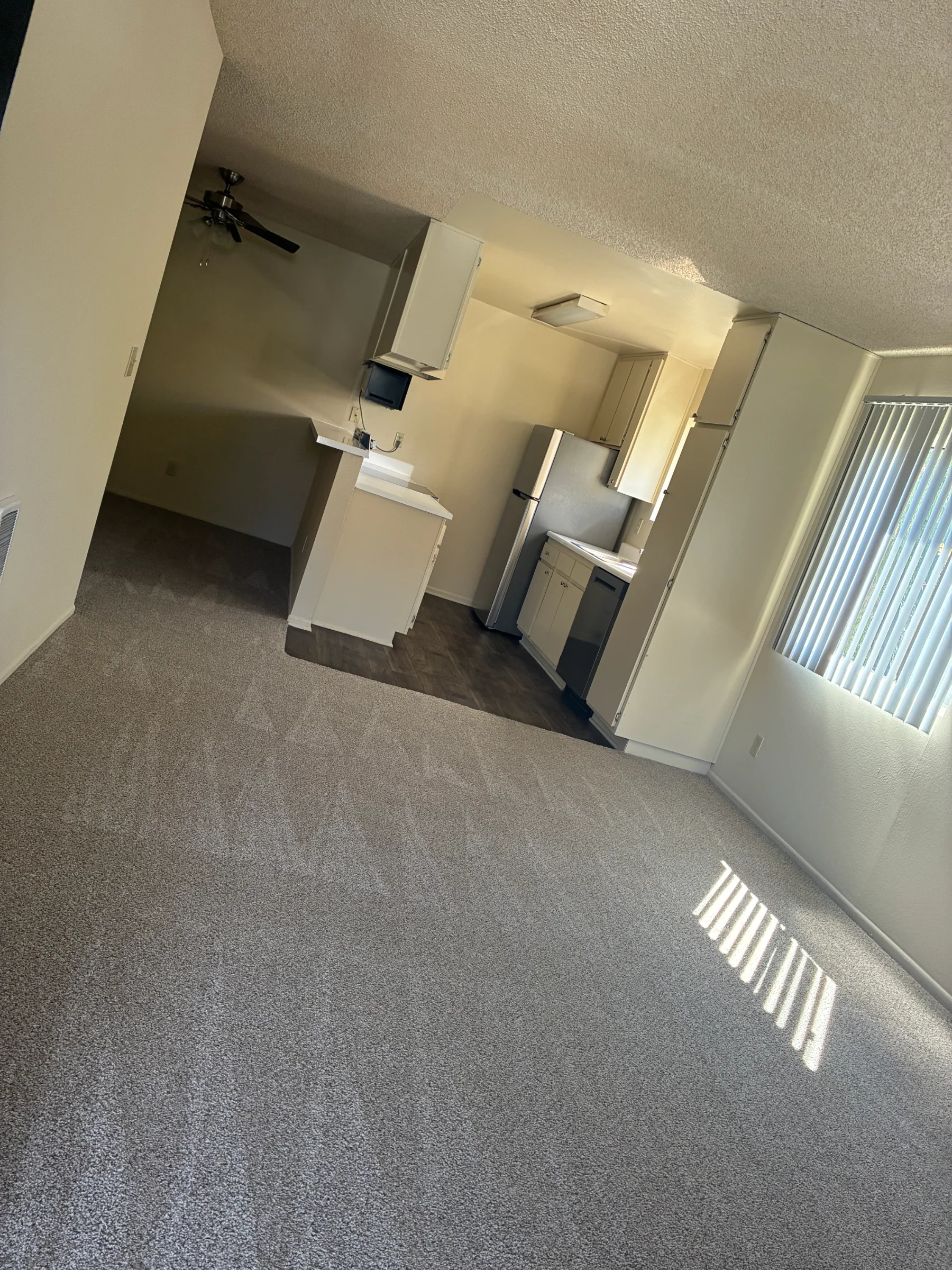 Empty carpeted living room and kitchen after a move-out cleaning