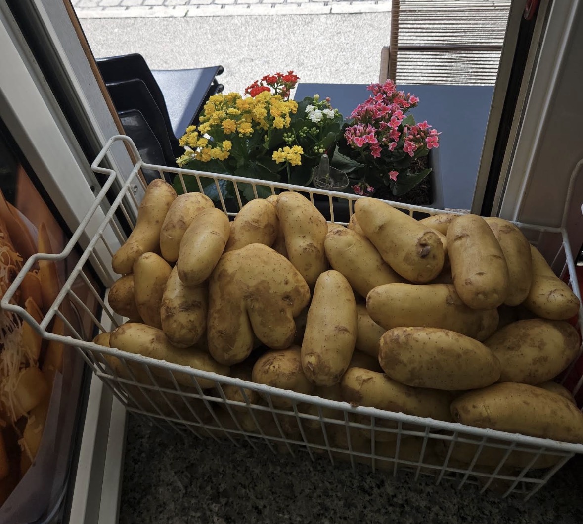 Korb voller frischer Kartoffeln im Fenster des Ladens, im Hintergrund blühende Blumen