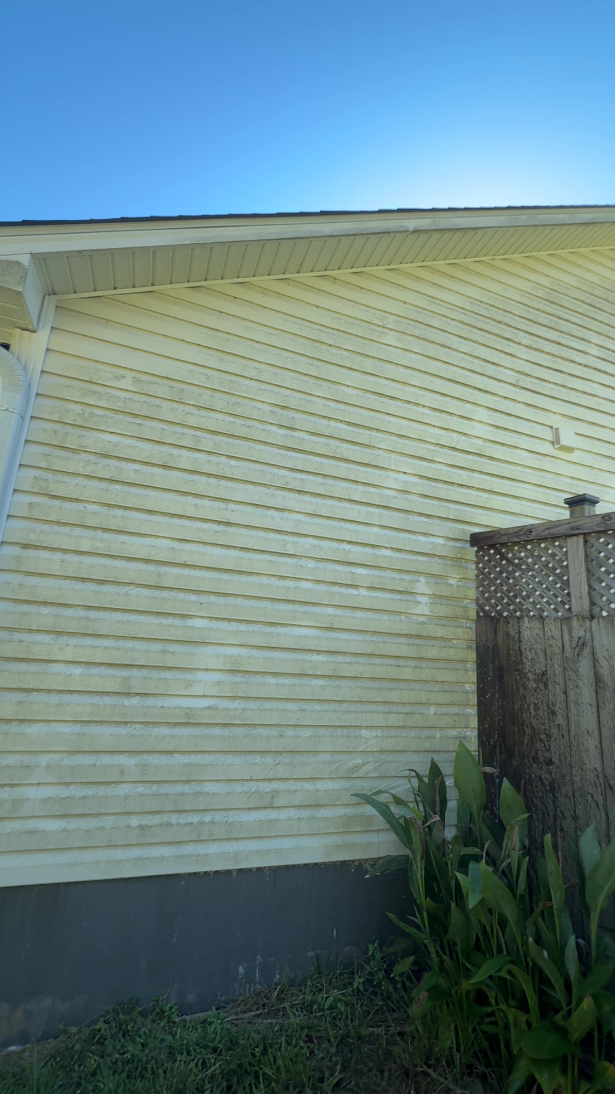 House siding before cleaning, covered in green algae streaks