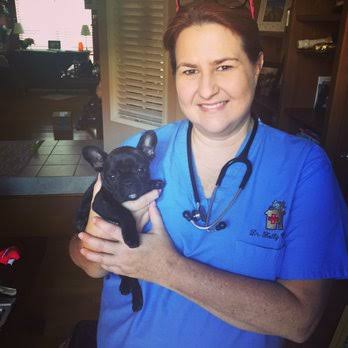 Dr. Kelly Wright in blue scrubs with a stethoscope, holding a small black puppy